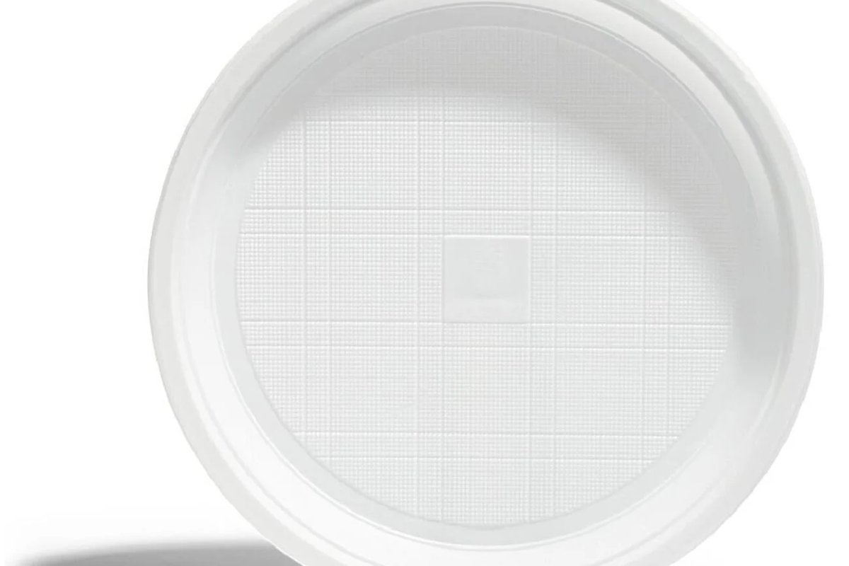 Lot de 10 assiettes en plastique jetables
